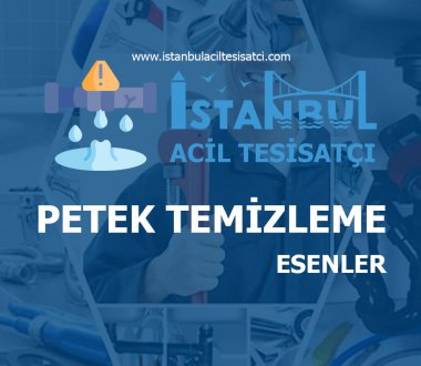 Esenler Petek Temizleme